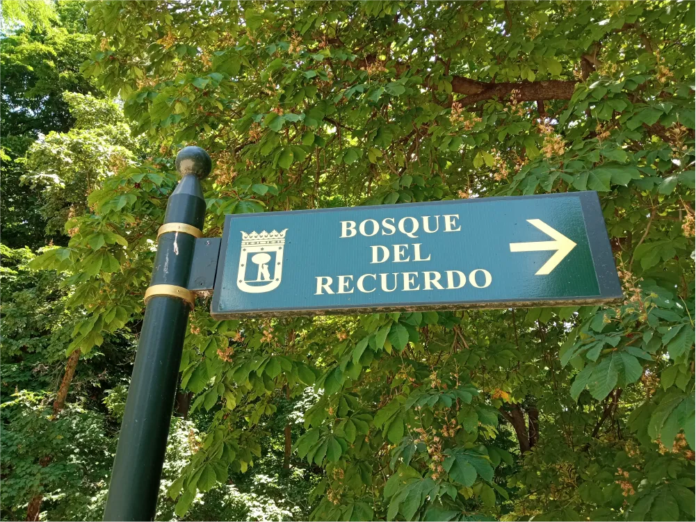 Vista de Madrid